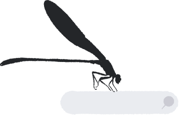 Dragonfly